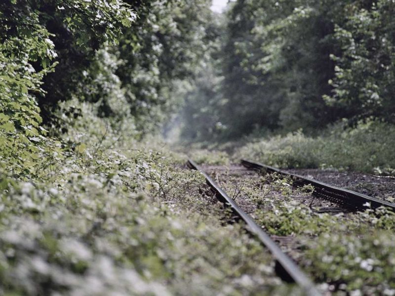 krefeld railway track Forest