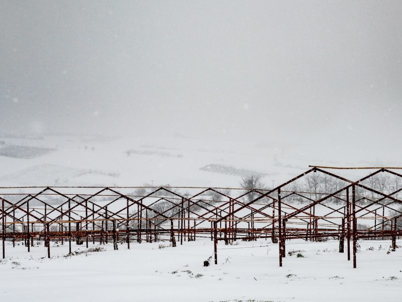 Snowy landscape with gentle hills and several tobacco greenhouses in the distance.