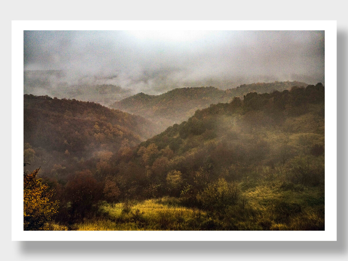 A misty autumn landscape with rolling hills covered in lush, green forests.