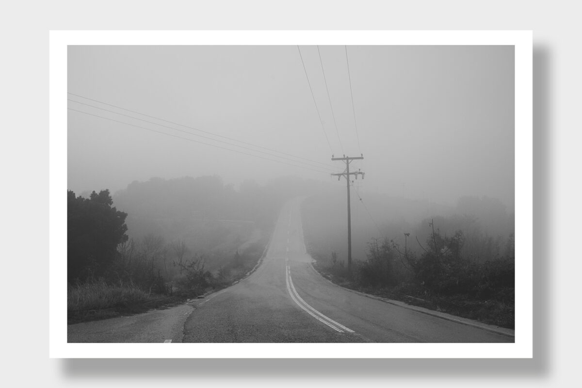 A foggy, deserted road with telephone poles, disappearing into the mist, surrounded by trees and thick vegetation.