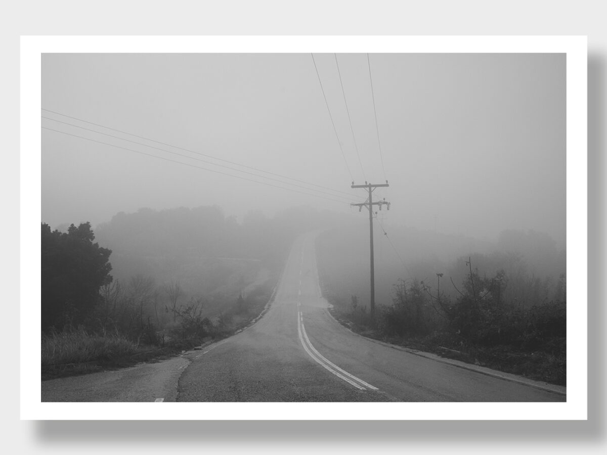 A foggy, deserted road with telephone poles, disappearing into the mist, surrounded by trees and thick vegetation.